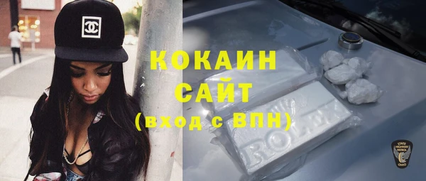 гашик Аркадак