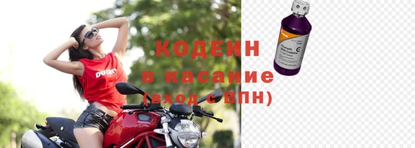 гашик Аркадак