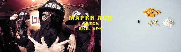 гашик Аркадак