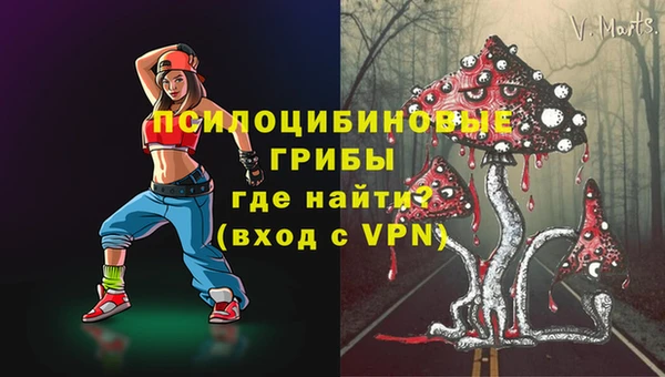 гашик Аркадак
