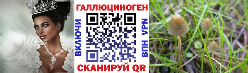 Галлюциногенные грибы MAGIC MUSHROOMS  Горячий Ключ 